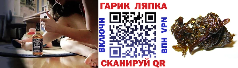 ГАШ Premium  Полярный 