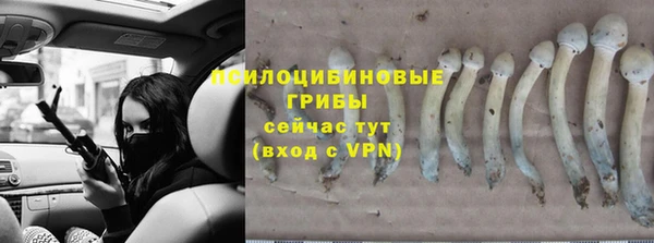каннабис Абинск