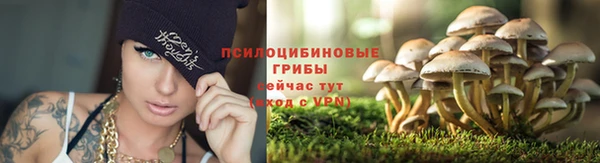 ПСИЛОЦИБИНОВЫЕ ГРИБЫ Абдулино