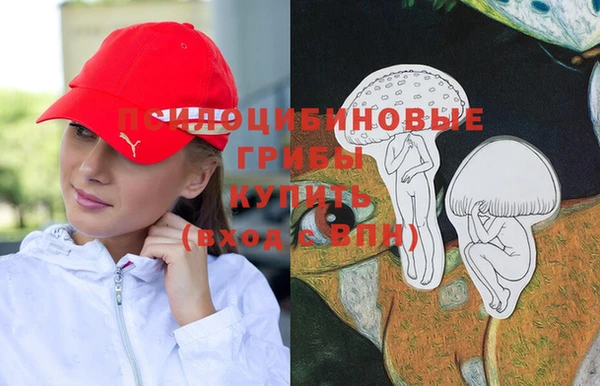 ПСИЛОЦИБИНОВЫЕ ГРИБЫ Абдулино