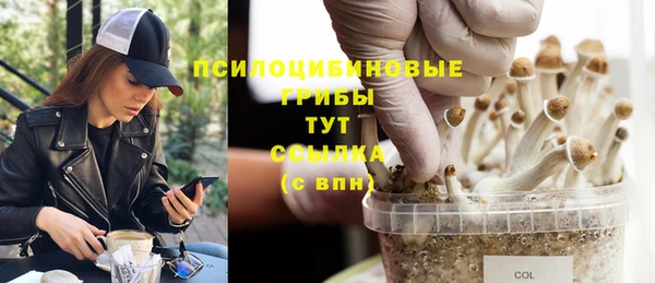 каннабис Абинск
