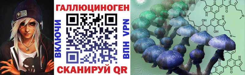 Галлюциногенные грибы Psilocybe купить Полярный